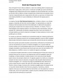 Brief del Proyecto Final