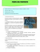 Proyecto: Confección de gorra y chalinas con palitos y crochet