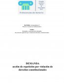 Demanda y contestación de demanda de acción de repetición por violación de derechos constitucionales