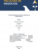 Proyectos de Inversión. CASO 1 – Laboratorio y Tintes SAC