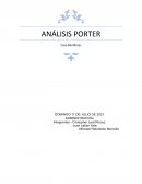 ANÁLISIS PORTER Caso Miraflores