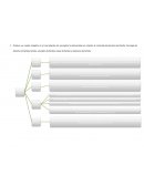 Compendio explicativo del derecho de familia