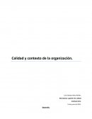 Calidad y contexto de la organización . Empresa: Vidriería Prat. S.A.(DIGOSA)