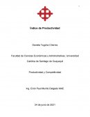 INDICE DE PRODUCTIVIDAD