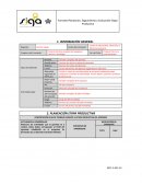 Formato Planeación, Seguimiento y Evaluación Etapa Productiva