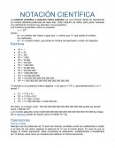 Notación científica