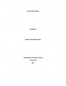 APROXIMACIÓN AL CONCEPTO DE ORGANIZACIÓN Y CONDUCTA LABORAL DESDE LA PSICOLOGÍA ORGANIZACIONAL