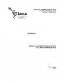 Articulo de pelicula Wara Wara