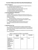 Plan de trabajo de Practicas Preprofesionales