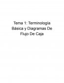 Terminología Básica y Diagramas De Flujo De Caja