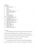 PLAN DE NEGOCIOS PARA LA PRODUCCIÓN DE HARINA DE COCO EN EL DEPARTAMENTO DE MADRE DE DIOS