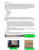 INFORME GRUPAL DE DINAMICA