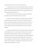 ANALISIS DEL VIDEO DE LA ESCUELA DE LA SEÑORITA OLGA