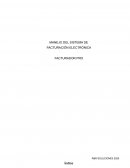 MANEJO DEL SISTEMA DE FACTURACIÓN ELECTRÓNICA