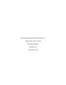 Funcionamientos básicos del Sistema Nervioso