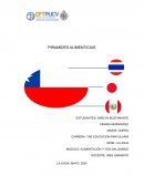 Piramide alimenticia