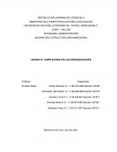 COMPLEJIDAD EN LAS ORGANIZACIONES