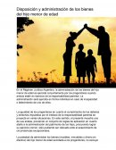 Disposición y administración de los bienes del hijo menor de edad