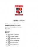 Resumen Ejecutivo. Desarrollo emprendedor