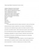 Trabajo Fundamentos de control de gestión