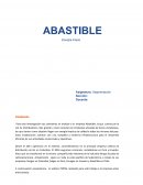 Segmentacion abastible
