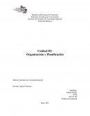 Introduccion a la administracion. Organización y Planificación