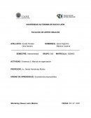 Ecosistemas empresariales