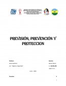 PREVISION, PREVENCION Y PROTECCION