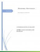 El sistema nervioso