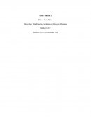 Dirección y Planificación Estratégica de Recursos Humanos. Asesoría empresa “Alquimia S.A"
