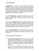 Qué es Metacognición