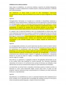 Inhibidores de la síntesis proteínica