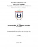 INDENTIFICACION ESTRUCTURA DE ESTADOS FINANCIEROS