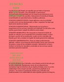 CADENA DE VALOR DE LA EMPRESA