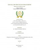 Código para el sistema de protección y los derechos fundamentales de niños, niñas y adolescentes. (LEY 136-03)