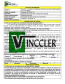 GUIA DE ENTREVISTA. Empresa VINCLER CA