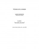 TÉCNICA DE LA DANZA