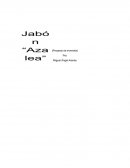 Proyecto inversion jabon