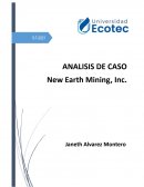 ANALISIS DE CASO New Earth Mining, Inc