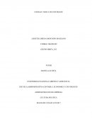 Administracion de empresa. Cultura politica