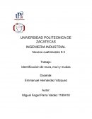 Identificación de mura, muri y mudas