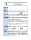 Diseño y construcción de software a la medida para el sector empresarial