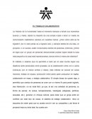 Trabajo colaborativo sena induccion