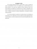 ENSAYO DE LA PRACTICA DOCENTE