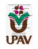 FORMAS DE SOLICITUD DE TRABAJO