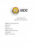 Ensayo Cultura Organizacional