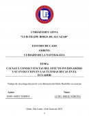 CAUSAS Y CONSECUENCIAS DEL EFECTO INVERNADERO Y SU EVOLUCION EN LAS ÚLTIMAS DECAS EN EL ECUADOR