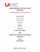 Diagnóstico de las características directivas