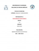 ¿Qué tipo de comunicador desea ser y qué funciones usted le daría prioridad como futuro profesional de la salud?