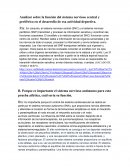 Analizar sobre la función del sistema nervioso central y periférico en el desarrollo de esa actividad deportiva